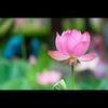 tnhinguyen2 tnhinguyen2